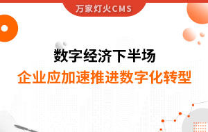 數(shù)字經(jīng)濟(jì)下半場(chǎng)，企業(yè)應(yīng)加速推進(jìn)數(shù)字化轉(zhuǎn)型